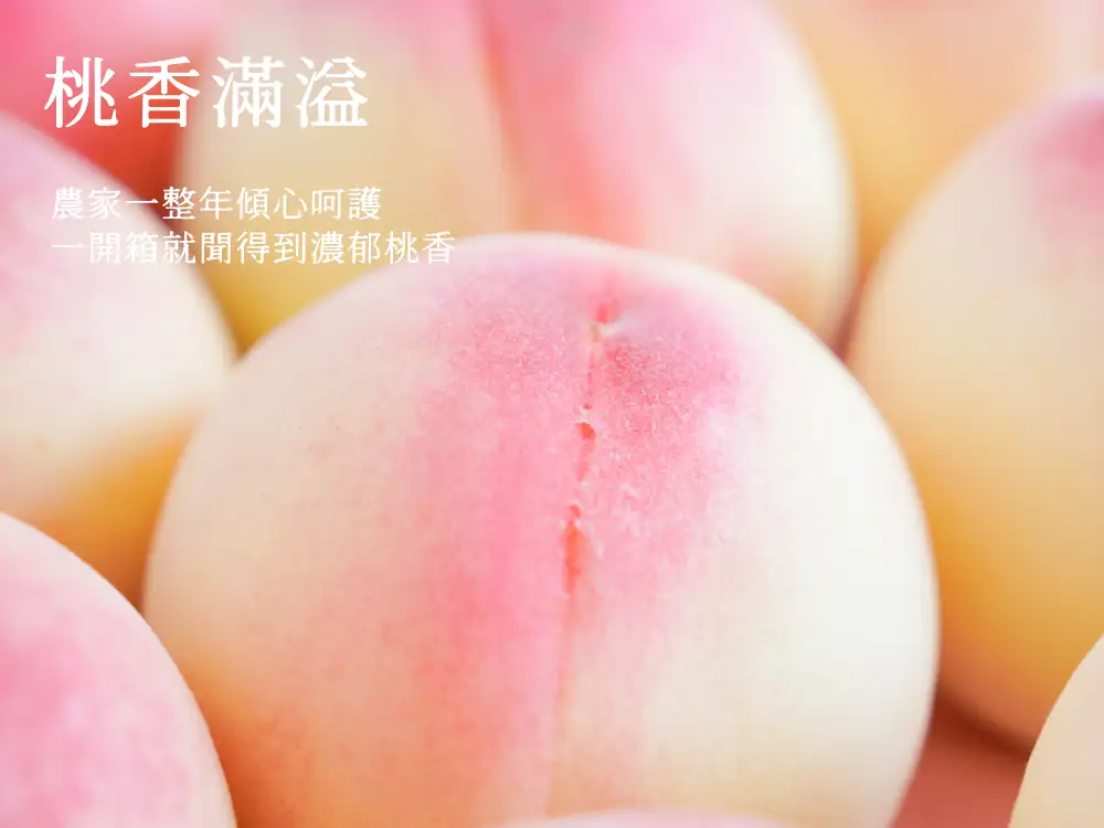 风味说明
